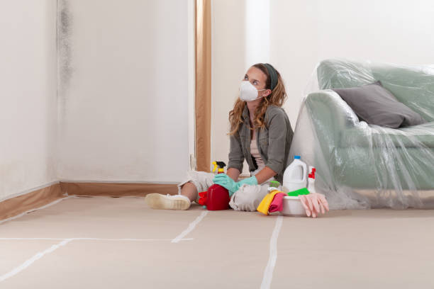 Reliable Mold Removal contractor in Neshanic Station, NJ by WQB Mold Removal